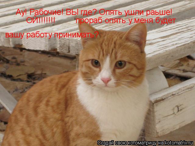 Ау! Рабочие! ВЫ где? Опять ушли раьше! вашу работу принимать? ОЙ!!!!!!! прораб опять у меня ... Котоматрица: Ау! Рабочие! ВЫ где? Опять ушли раьше! вашу работу принимать? ОЙ!!!!!!! прораб опять у меня будет