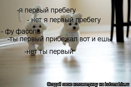 Котоматрица: -я первый пребегу - нет я первый пребегу - фу фасоль -ты первый прибежал вот и ешь -нет ты первый
