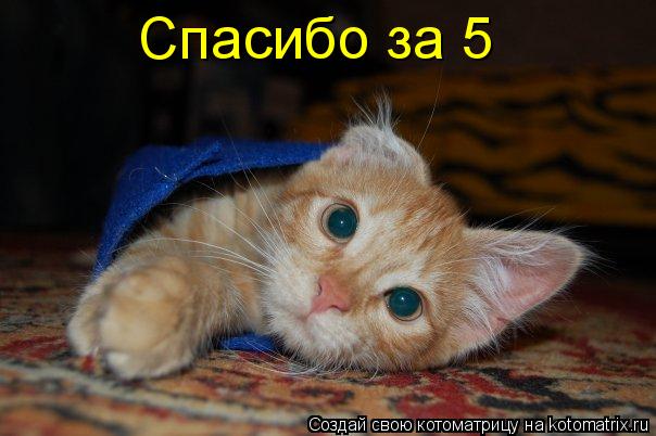 Котоматрица: Спасибо за 5