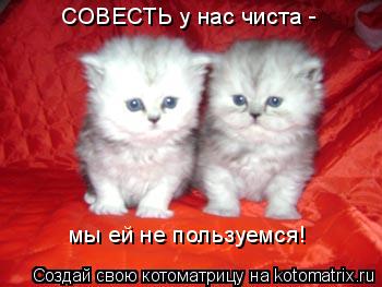 Котоматрица: СОВЕСТЬ у нас чиста - мы ей не пользуемся!