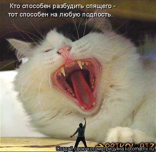 Котоматрица: Кто способен разбудить спящего -  тот способен на любую подлость.