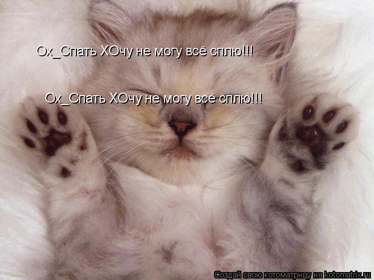 Котоматрица: Ох_Спать ХОчу не могу всё сплю!!!  Ох_Спать ХОчу не могу всё сплю!!!