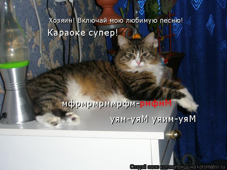 Котоматрица: Хозяин! Включай мою любимую песню! уям-уяМ уяим-уяМ мфрмрмрммрфм- рмфмМ Караоке супер!