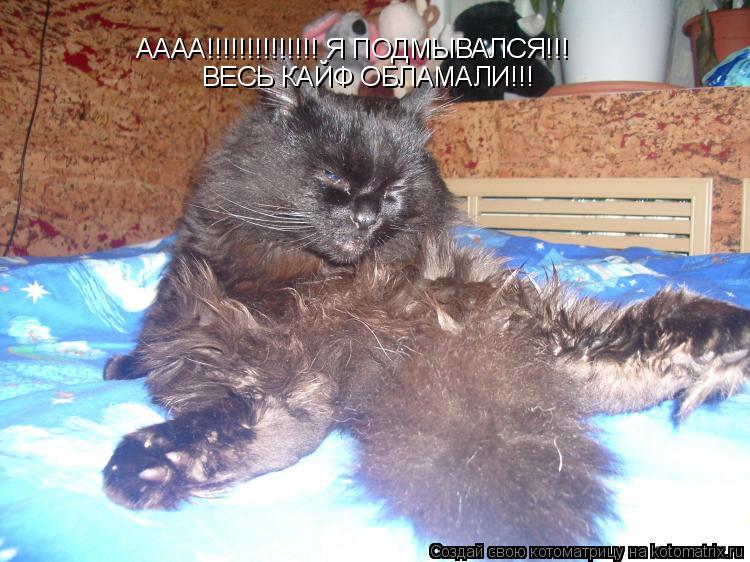 АААА!!!!!!!!!!!!!! Я ПОДМЫВАЛСЯ!!! ВЕСЬ КАЙФ ОБЛАМАЛИ!!!... Котоматрица: АААА!!!!!!!!!!!!!! Я ПОДМЫВАЛСЯ!!! ВЕСЬ КАЙФ ОБЛАМАЛИ!!!