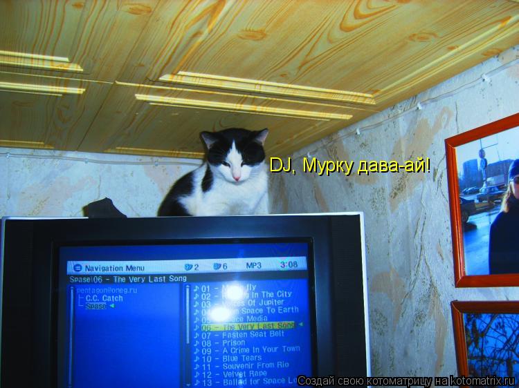 Котоматрица: DJ, Мурку дава-ай!