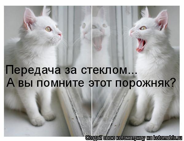 Передача за стеклом... А вы помните этот порожняк?... Котоматрица: Передача за стеклом... А вы помните этот порожняк?