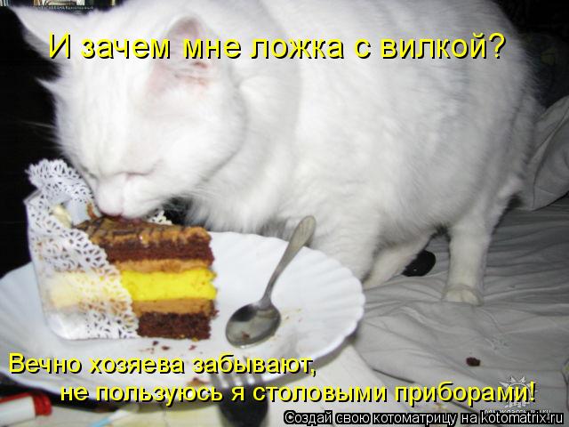 Котоматрица: И зачем мне ложка с вилкой? Вечно хозяева забывают, не пользуюсь я столовыми приборами!