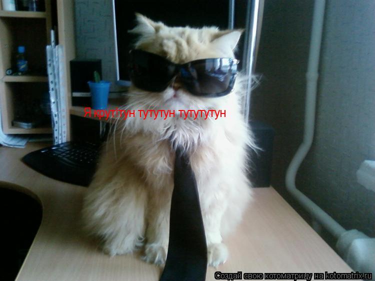Котоматрица: Я крут!тун тутутун тутутутун