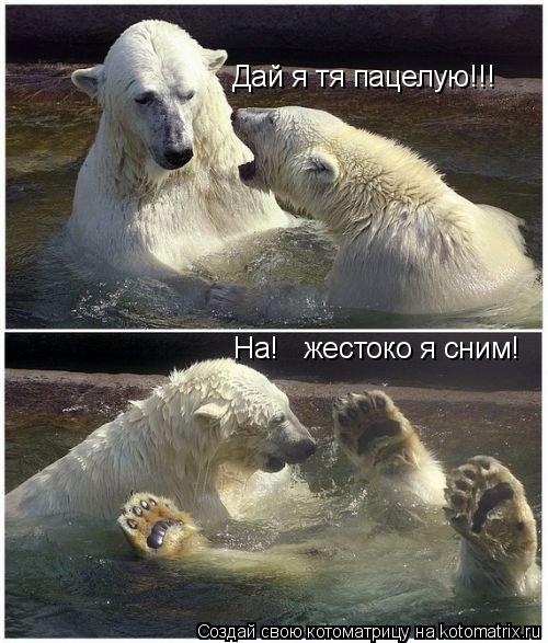 Дай я тя пацелую!!! На! жестоко я сним!... Котоматрица: Дай я тя пацелую!!! На! жестоко я сним!