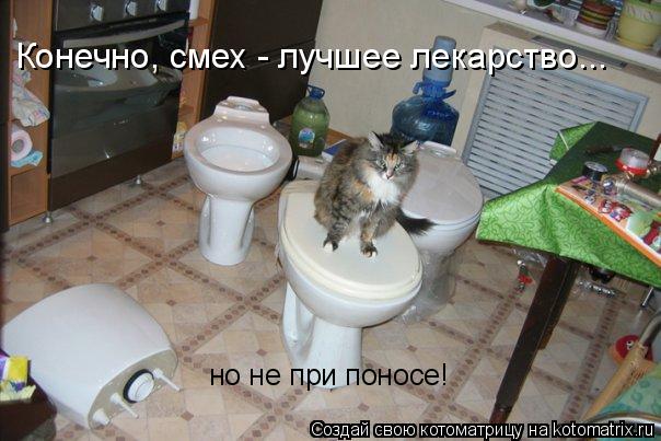 Конечно, смех - лучшее лекарство... но не при поносе!... Котоматрица: Конечно, смех - лучшее лекарство... но не при поносе!