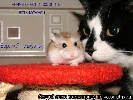 Котоматрица: -Барсик Я не вкусный -ничего, если посолить  есть можно:)