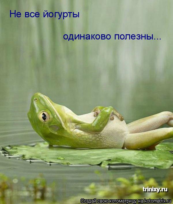 Котоматрица: Не все йогурты одинаково полезны...