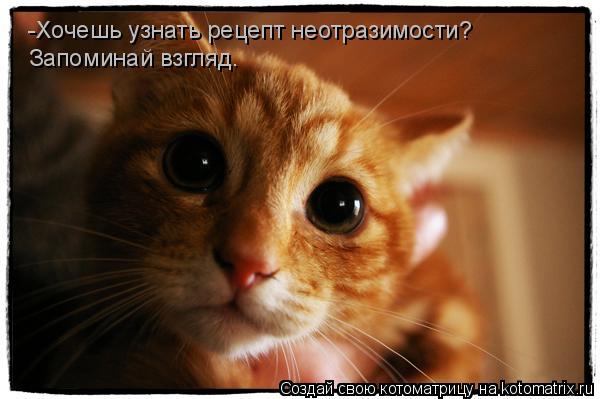 -Хочешь узнать рецепт неотразимости? Запоминай взгляд.... Котоматрица: -Хочешь узнать рецепт неотразимости? Запоминай взгляд.