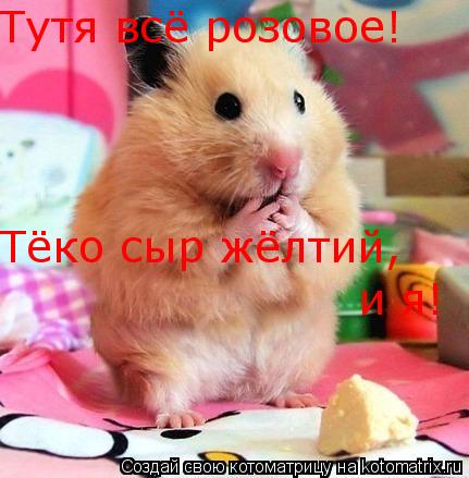 Тутя всё розовое! Тёко сыр жёлтий, и я!... Котоматрица: Тутя всё розовое! Тёко сыр жёлтий, и я!