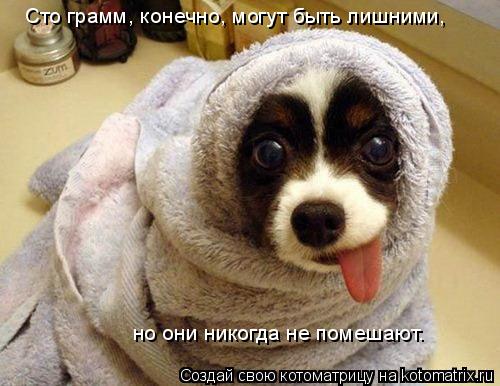Сто грамм, конечно, могут быть лишними, но они никогда не помешают.... Котоматрица: Сто грамм, конечно, могут быть лишними, но они никогда не помешают.