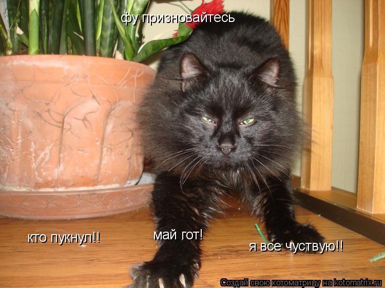 Котоматрица: фу призновайтесь кто пукнул!! я все чуствую!! май гот!