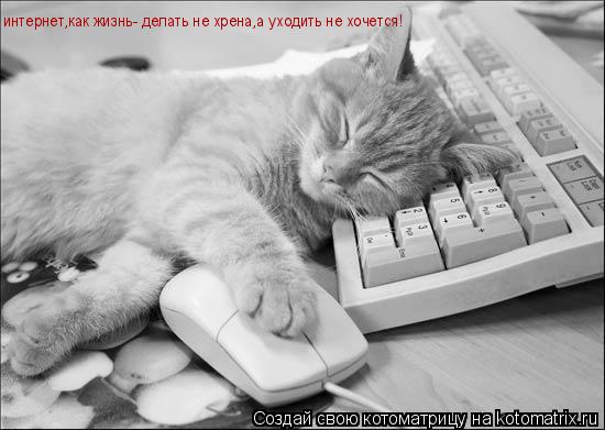 интернет,как жизнь- делать не хрена,а уходить не хочется!... Котоматрица: интернет,как жизнь- делать не хрена,а уходить не хочется!