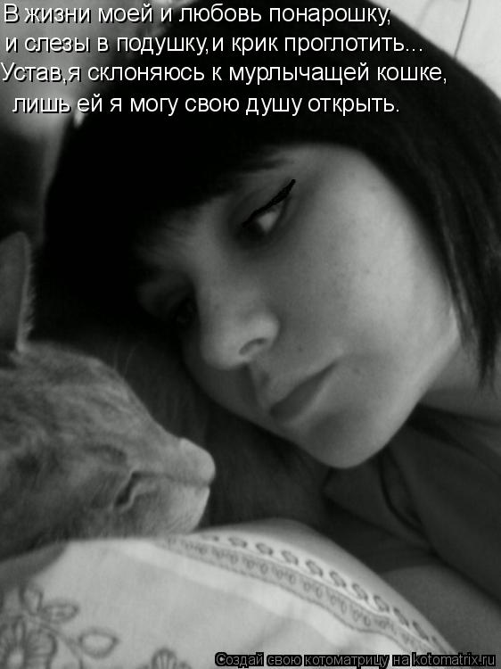 лишь ей я могу свою душу открыть. В жизни моей и любовь понарошку, и слезы в подушку,и крик проглотит... Котоматрица: лишь ей я могу свою душу открыть. В жизни моей и любовь понарошку, и слезы в подушку,и крик проглотить... Устав,я склоняюсь к мурлычащей кошке,