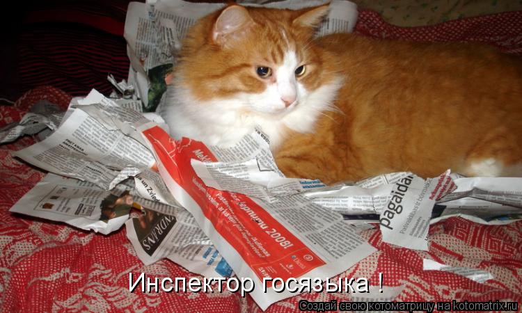 Инспектор госязыка !... Котоматрица: Инспектор госязыка !