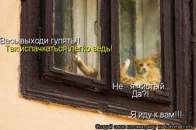 Котоматрица: Вась,выходи гулять!! Не...я чистый... Так испачкаться легко ведь! Да?! Я иду к вам!!!
