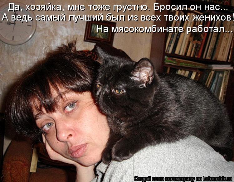 Котоматрица: Да, хозяйка, мне тоже грустно. Бросил он нас... А ведь самый лучший был из всех твоих женихов! На мясокомбинате работал...