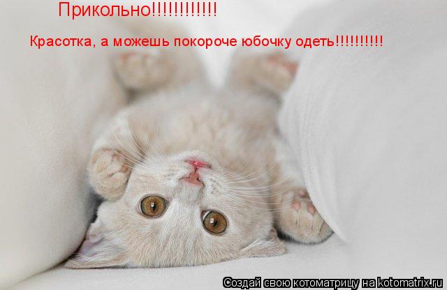 Котоматрица: Прикольно!!!!!!!!!!!! Красотка, а можешь покороче юбочку одеть!!!!!!!!!!