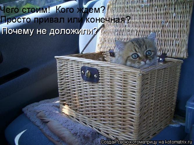 Чего стоим! Кого ждем? Просто привал или конечная? Почему не доложили?... Котоматрица: Чего стоим! Кого ждем? Просто привал или конечная? Почему не доложили?