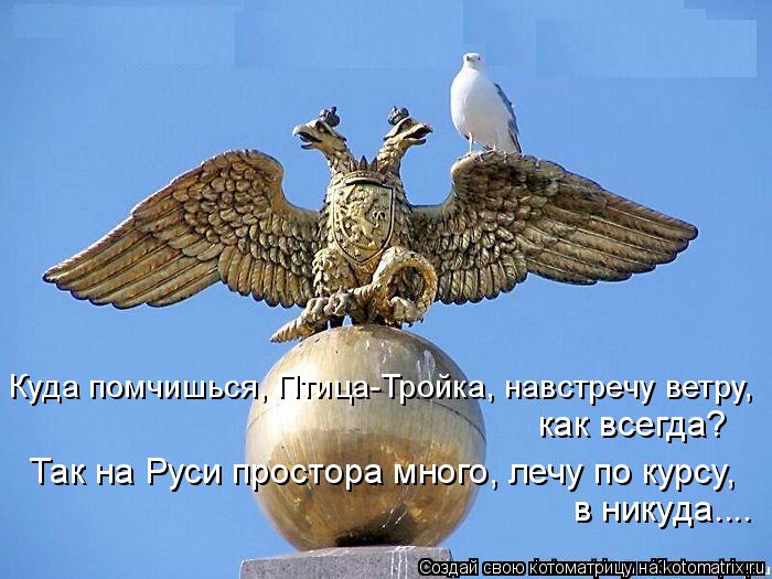 Котоматрица: в никуда.... Куда помчишься, Птица-Тройка, навстречу ветру, как всегда? Так на Руси простора много, лечу по курсу,
