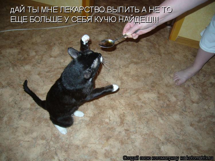 Котоматрица: дАЙ ТЫ МНЕ ЛЕКАРСТВО ВЫПИТЬ А НЕ ТО ЕЩЕ БОЛЬШЕ У СЕБЯ КУЧЮ НАЙДЕШ!!!