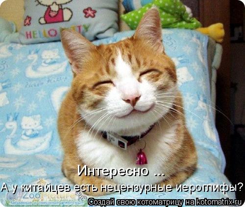 Котоматрица: Интересно ... А у китайцев есть нецензурные иероглифы?