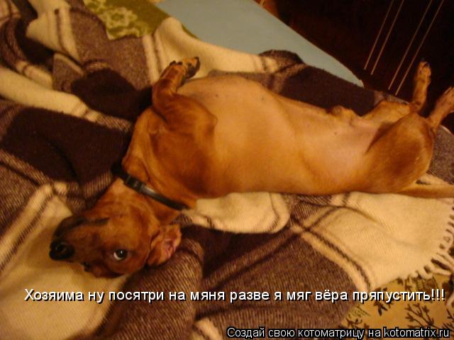 Котоматрица: Хозяима ну посятри на мяня разве я мяг вёра пряпустить!!!