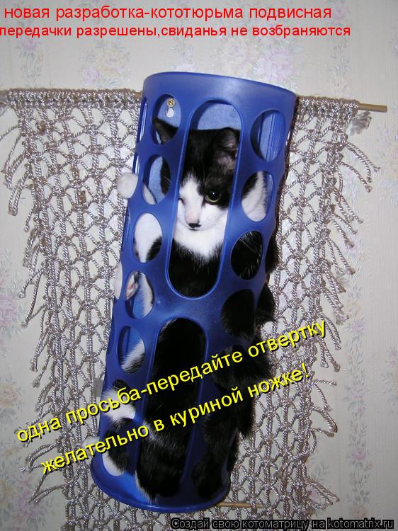 Котоматрица: желательно в куриной ножке! одна просьба-передайте отвертку новая разработка-кототюрьма подвисная передачки разрешены,свиданья не возбра