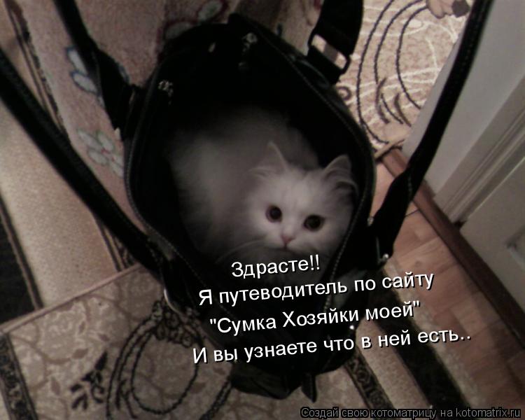 Котоматрица: Здрасте!! Я путеводитель по сайту "Сумка Хозяйки моей" И вы узнаете что в ней есть..