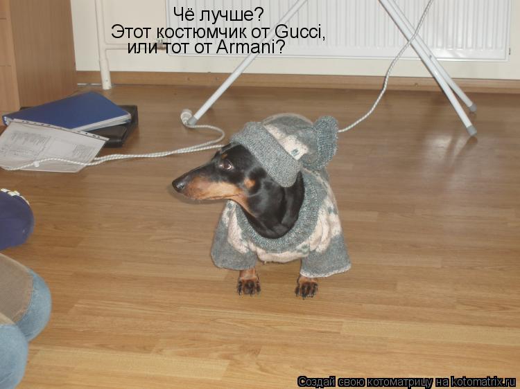 Котоматрица: Чё лучше? Этот костюмчик от Gucci, или тот от Armani?