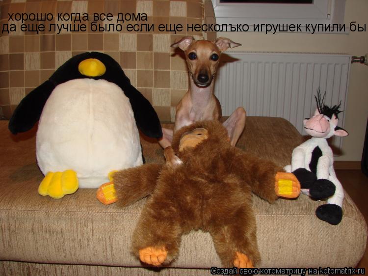 Котоматрица: хорошо когда все дома да еще лучше было если еще несколъко игрушек купили бы