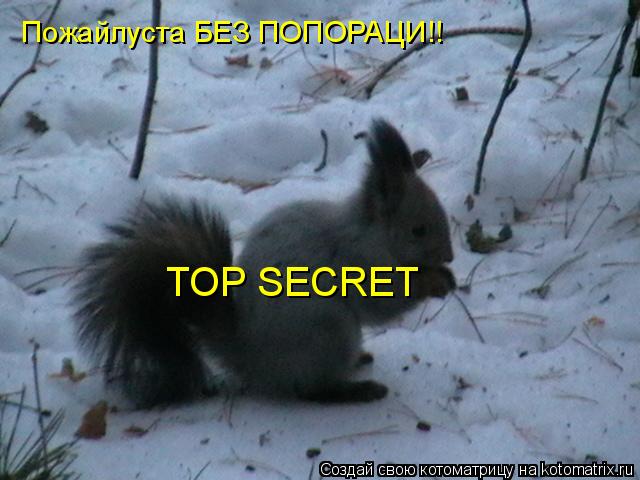 Котоматрица: Пожайлуста БЕЗ ПОПОРАЦИ!! TOP SECRET