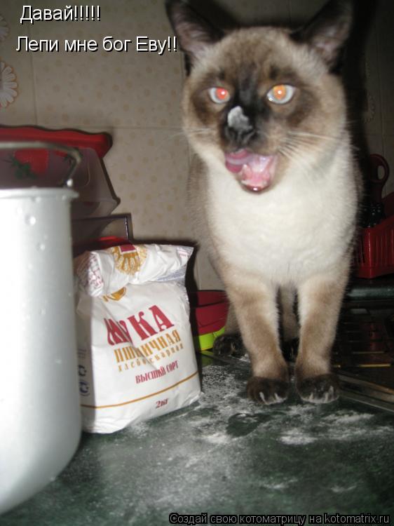 Котоматрица: Лепи мне бог Еву!! Давай!!!!!