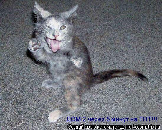 Котоматрица: ДОМ 2 через 5 минут на ТНТ!!!