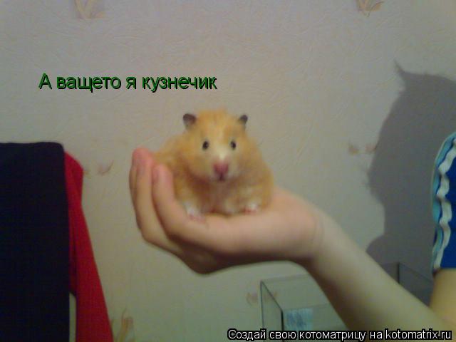 Котоматрица: А ващето я кузнечик