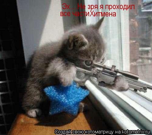 Котоматрица: Эх....Не зря я проходил  все части Хитмена
