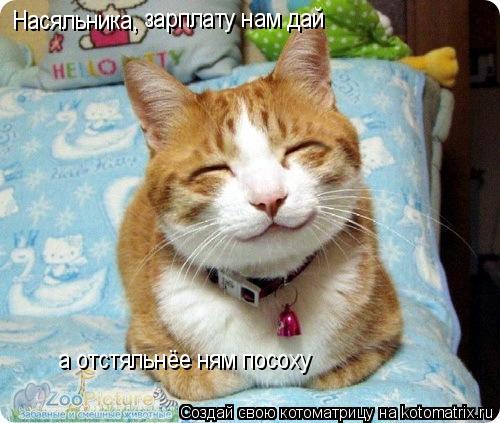Насяльника, зарплату нам дай а отстяльнёе ням посоху... Котоматрица: Насяльника, зарплату нам дай а отстяльнёе ням посоху