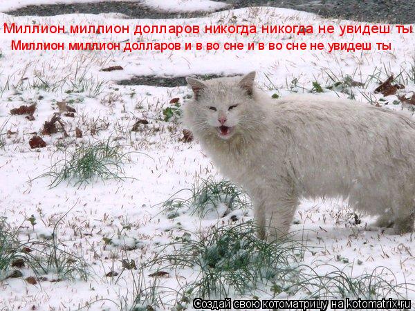 Котоматрица: Миллион миллион долларов и в во сне и в во сне не увидеш ты Миллион миллион долларов никогда никогда не увидеш ты