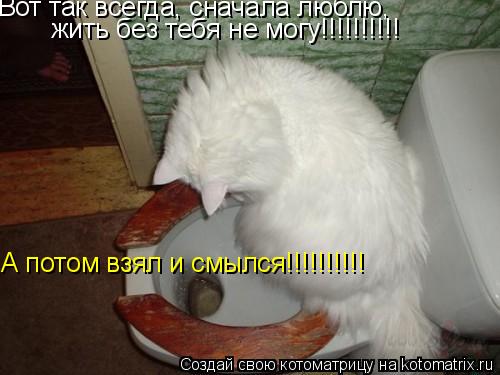 Котоматрица: Вот так всегда, сначала люблю, жить без тебя не могу!!!!!!!!!! А потом взял и смылся!!!!!!!!!!