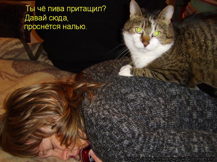 Ты чё пива притащил? Давай сюда, проснётся налью.... Котоматрица: Ты чё пива притащил? Давай сюда, проснётся налью.