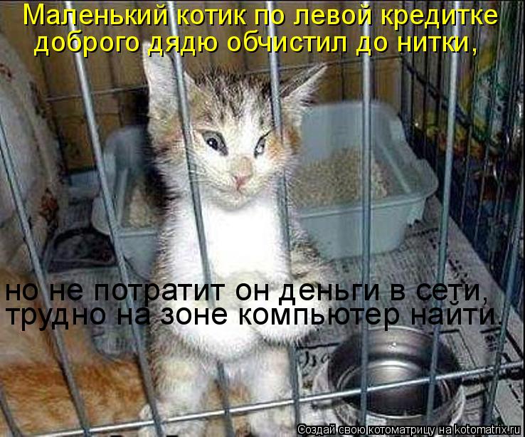 Маленький котик по левой кредитке доброго дядю обчистил до нитки, трудно на зоне компьютер найти. но ... Котоматрица: Маленький котик по левой кредитке доброго дядю обчистил до нитки, трудно на зоне компьютер найти. но не потратит он деньги в сети,