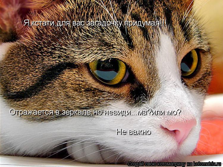 Котоматрица: Я,кстати,для вас загадочку придумал!!! Отражается в зеркале,но невиди...ма?или мо? Не важно