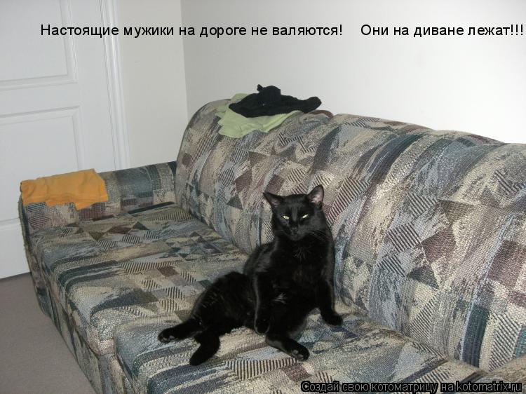 Настоящие мужики на дороге не валяются! Они на диване лежат!!!... Котоматрица: Настоящие мужики на дороге не валяются! Они на диване лежат!!!