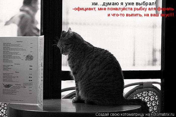 Котоматрица: хм...думаю я уже выбрал!  хм...думаю я уже выбрал!  хм...думаю я уже выбрал!  -официант, мне пожалуйста рыбку аля форель и что-то выпить, на ваш вку