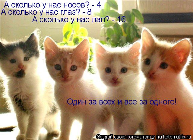 Котоматрица: А сколько у нас лап? - 16 А сколько у нас носов? - 4 А сколько у нас глаз? - 8 Один за всех и все за одного!