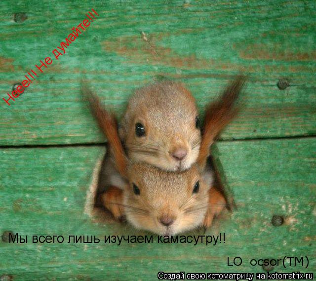 Неее!!! Не думайте!!! Мы всего лишь изучаем камасутру!! LO_ocsor(TM)... Котоматрица: Неее!!! Не думайте!!! Мы всего лишь изучаем камасутру!! LO_ocsor(TM)